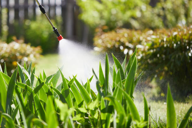 24/7 Emergency Mosquito Control experts in Valley Forge, TN